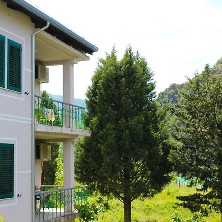 Agroturizem Hotel Vila Franceze Koman 외부 사진