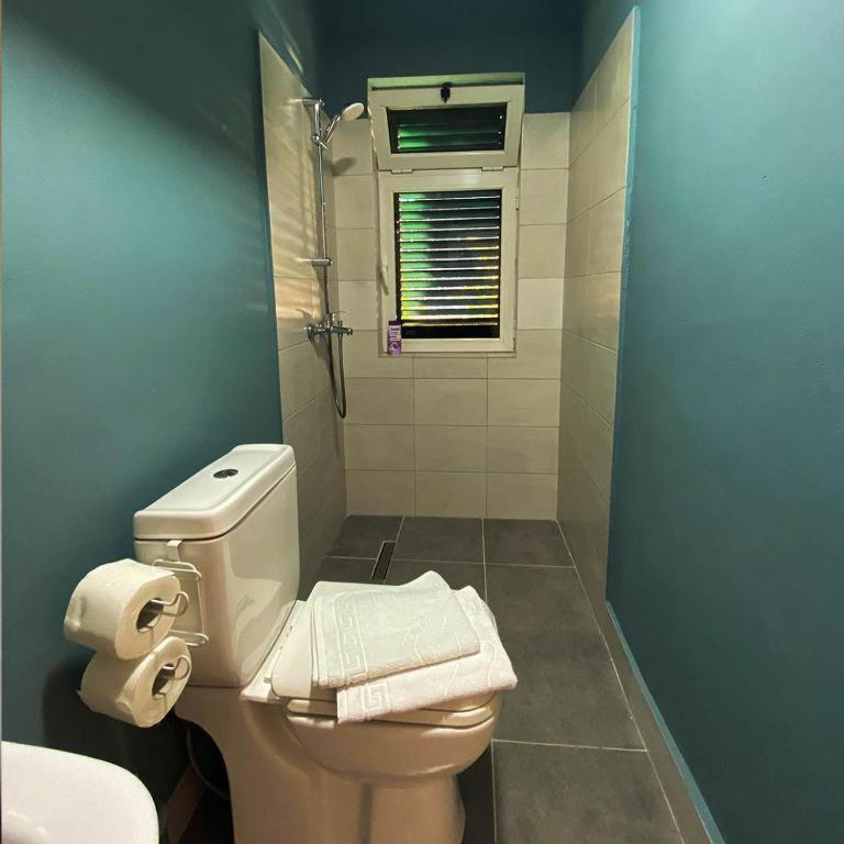 Agroturizem Hotel Vila Franceze Koman 외부 사진