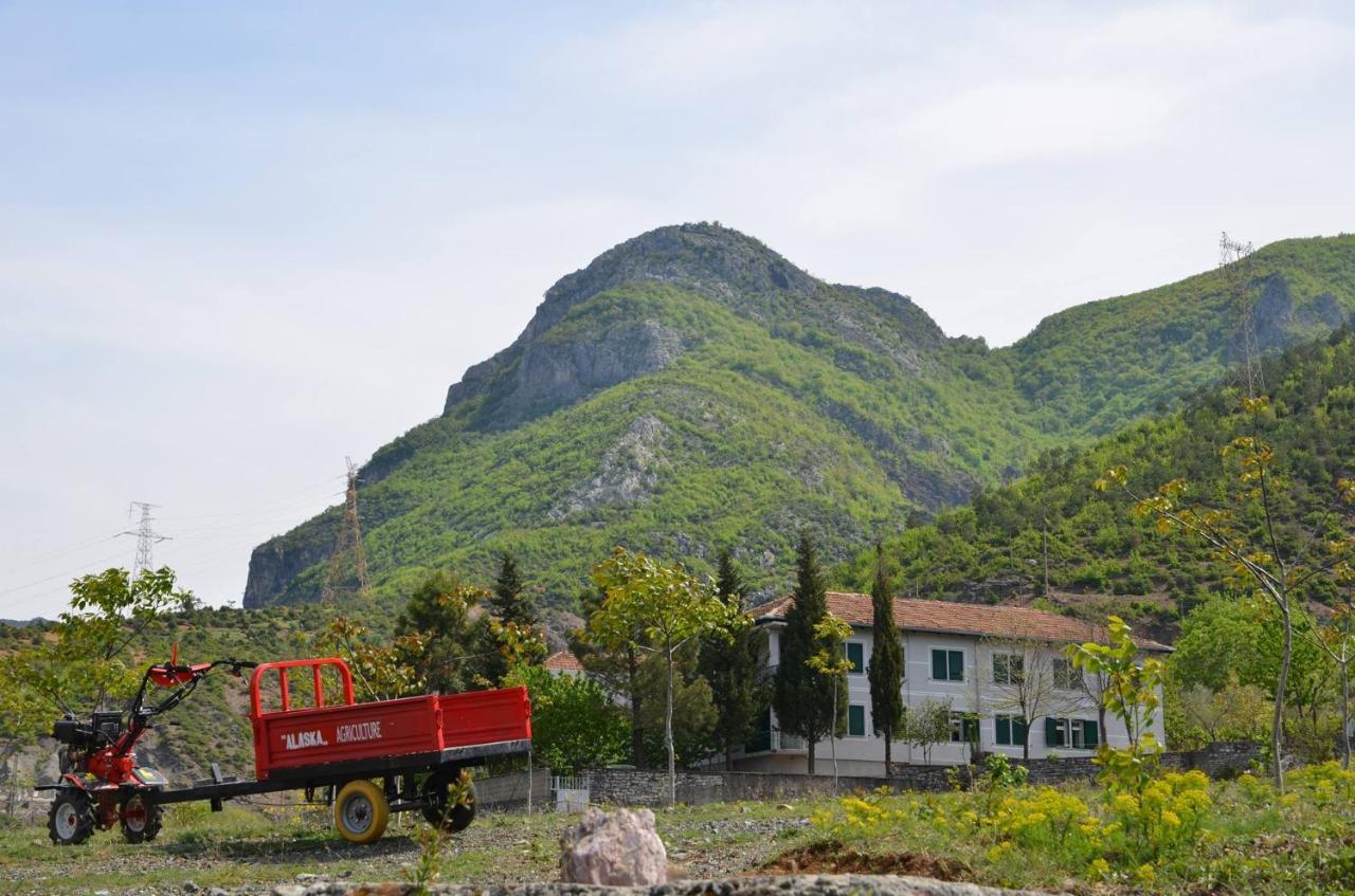 Agroturizem Hotel Vila Franceze Koman 외부 사진