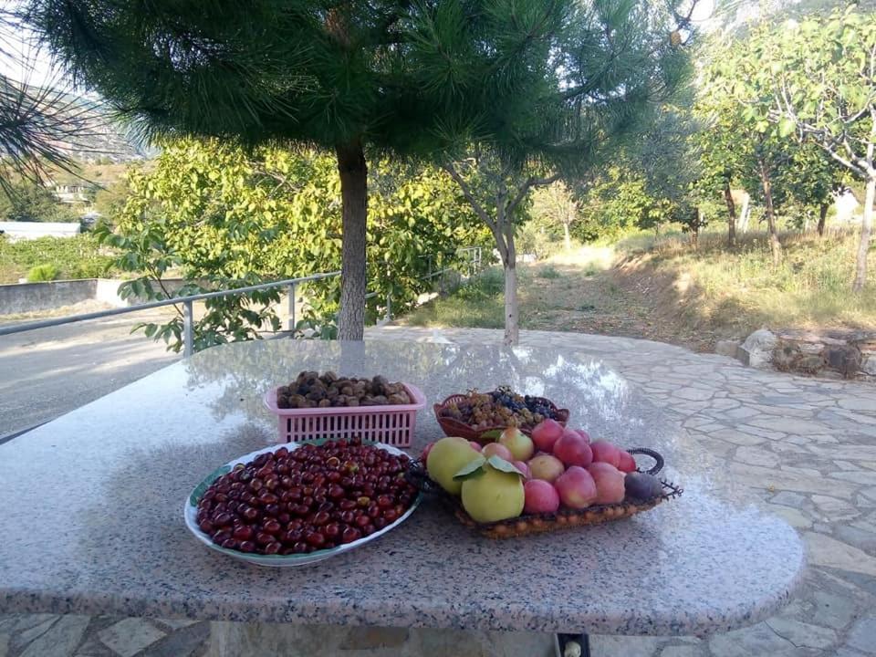 Agroturizem Hotel Vila Franceze Koman 외부 사진