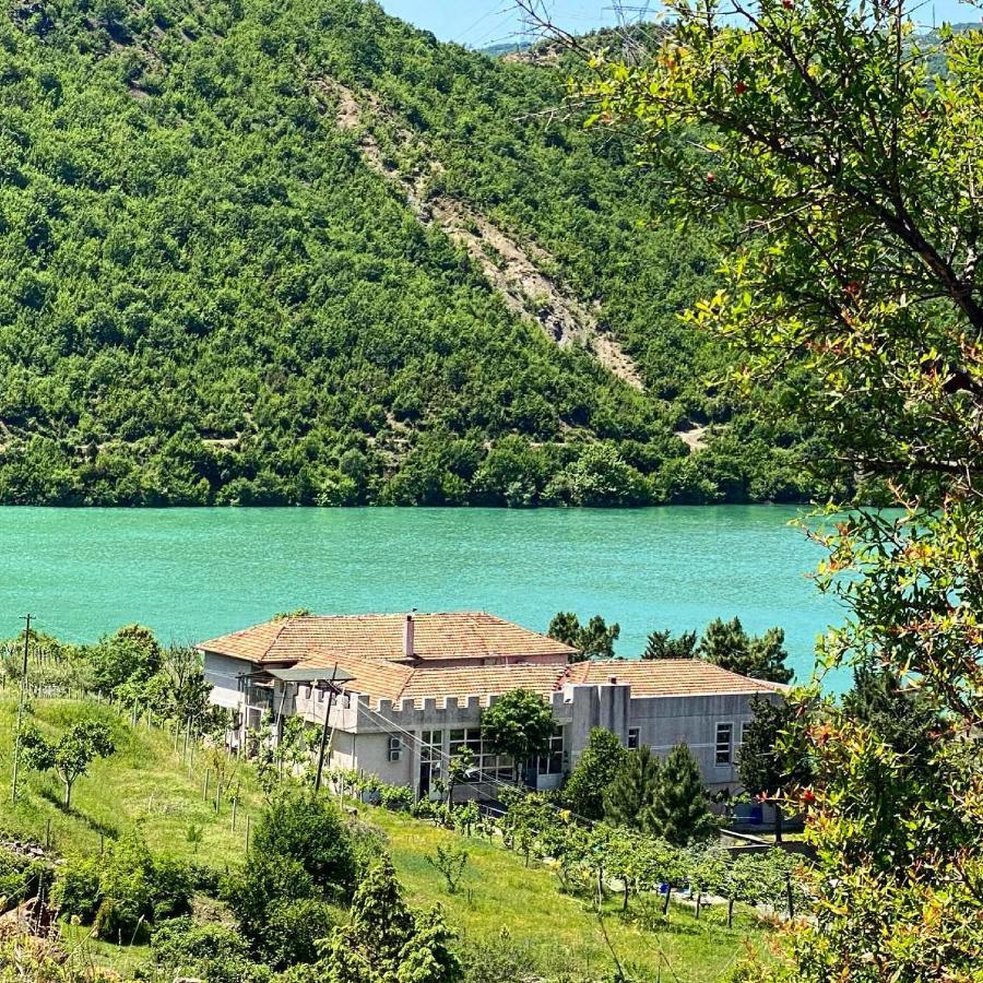 Agroturizem Hotel Vila Franceze Koman 외부 사진